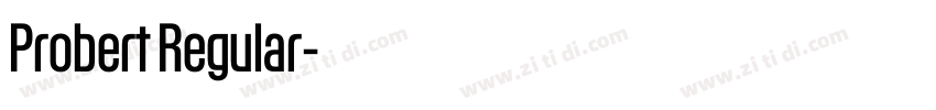 Probert Regular字体转换